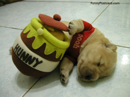 winniethepooh.jpg